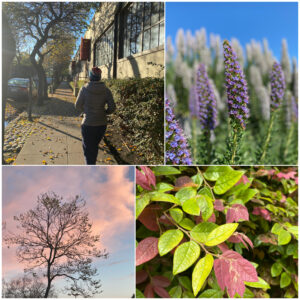 Morning walk in nature with Wen