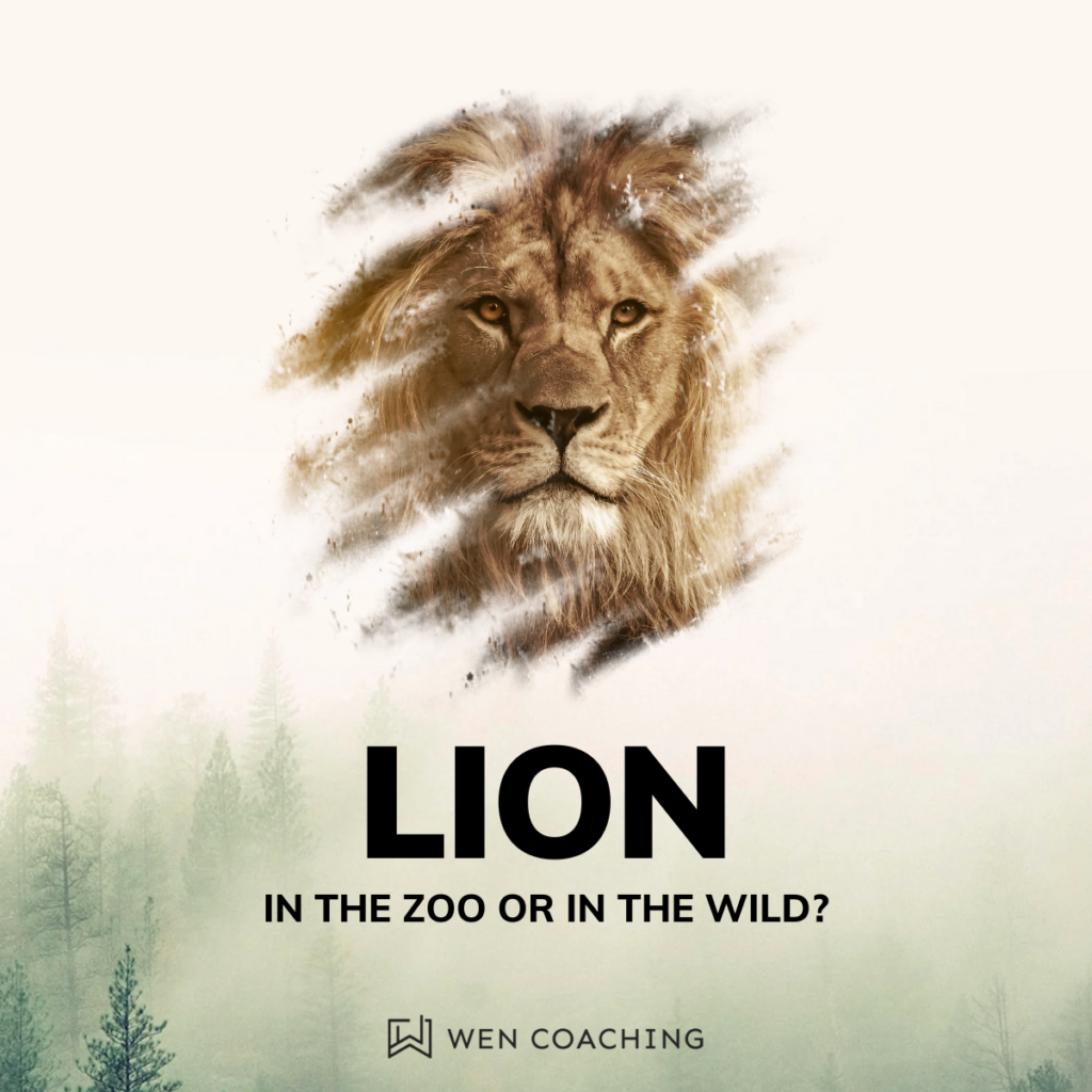 Lion in the zoo or in the wild wen coaching life of a solopreneur